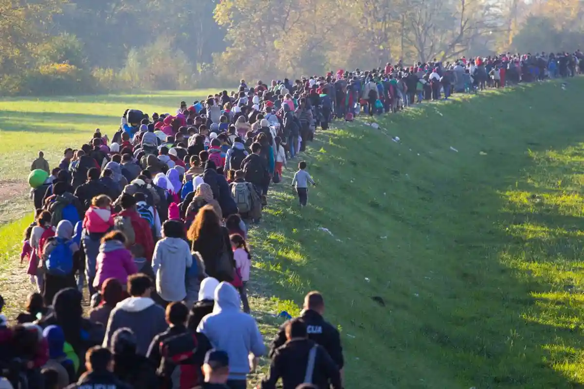 Вырастет ли количество мигрантов из-за воссоединения членов их семей? фото 1