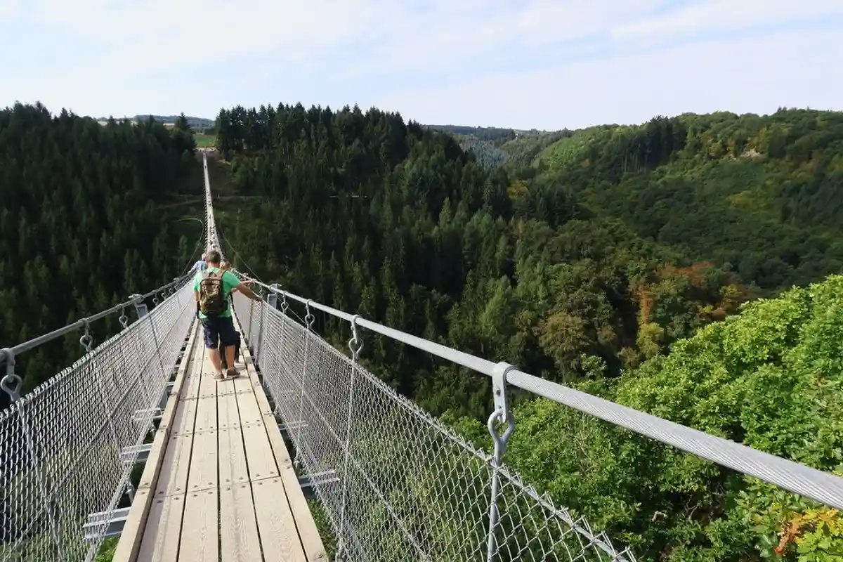 В Гессене построят подвесной мост длиной почти в полкилометра (+видео) фото 1