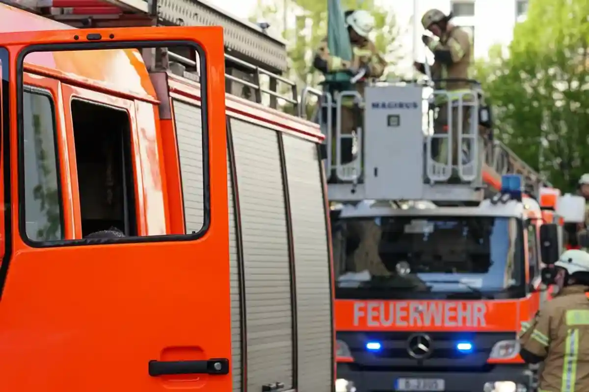 Прогоняя с балкона ос, жительница Мюнхена подожгла свою квартиру фото 1