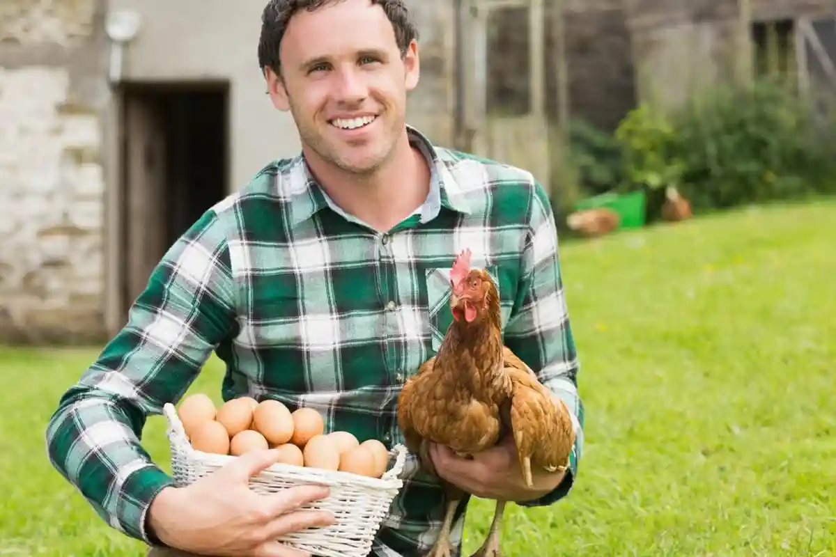 Зараженные куриные яйца из Нидерландов и Бельгии могли попасть в Германию фото 1