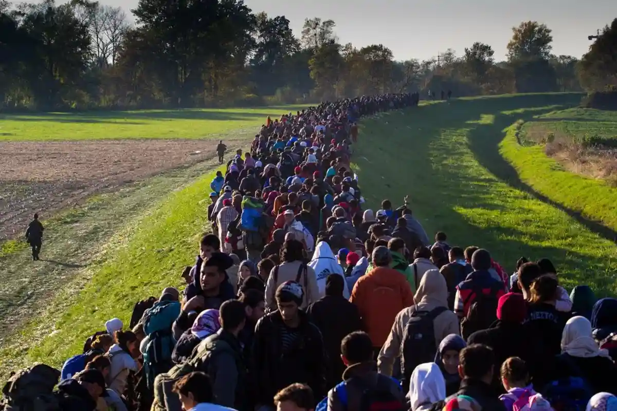 Правительство Германии ожидает увеличение мигрантов во втором полугодии фото 1