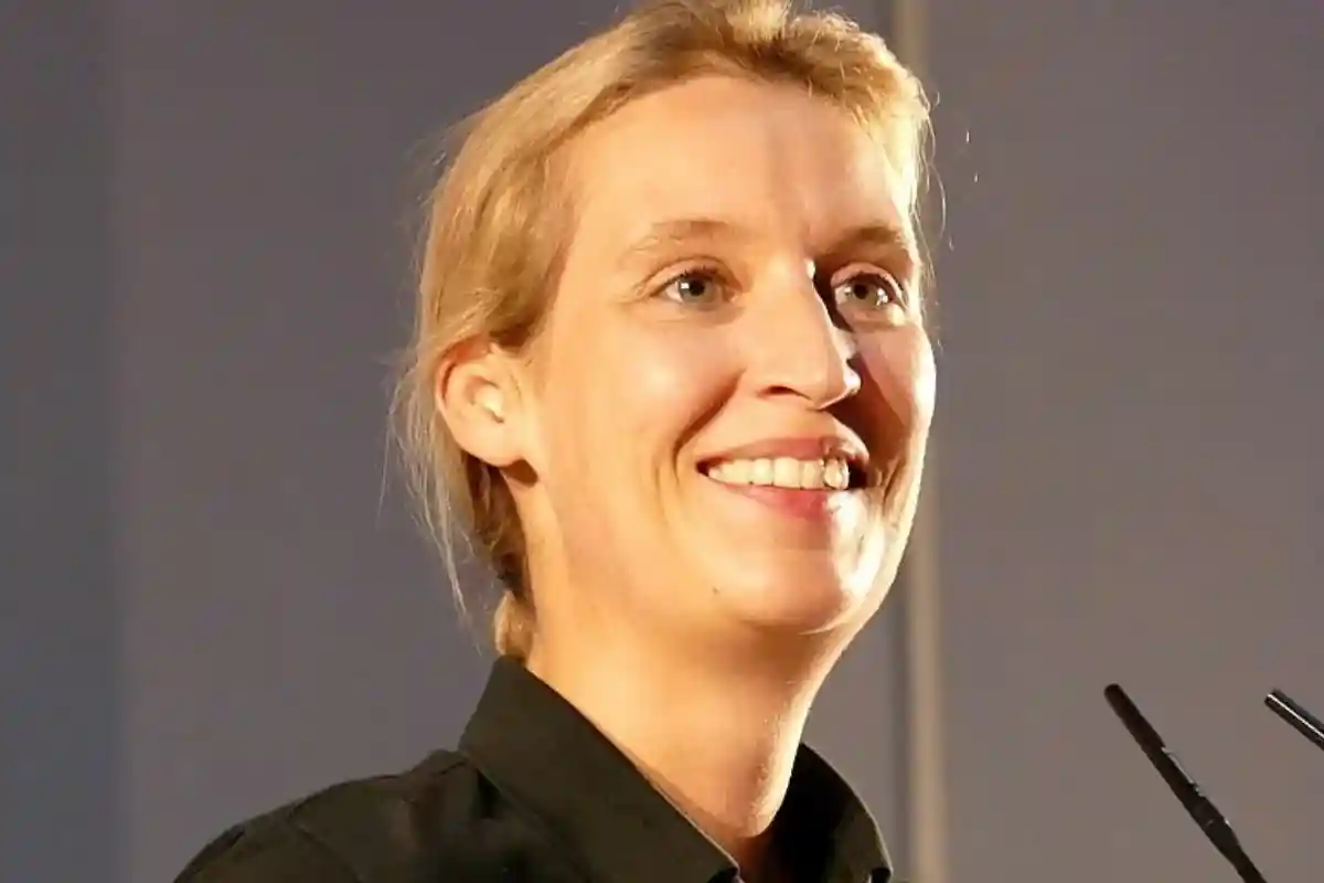 Алиса Вайдель раскритиковала правительство Меркель. Фото: wikipedia.org