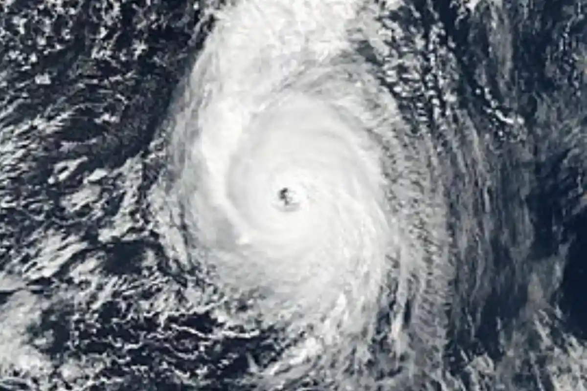 Ураган «Офелия». Фото: wikipedia.org 