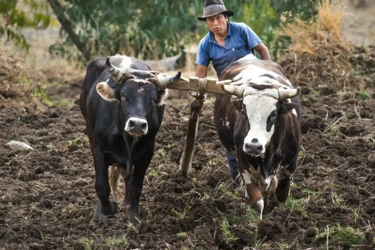 иск перуанского фермера против RWE
