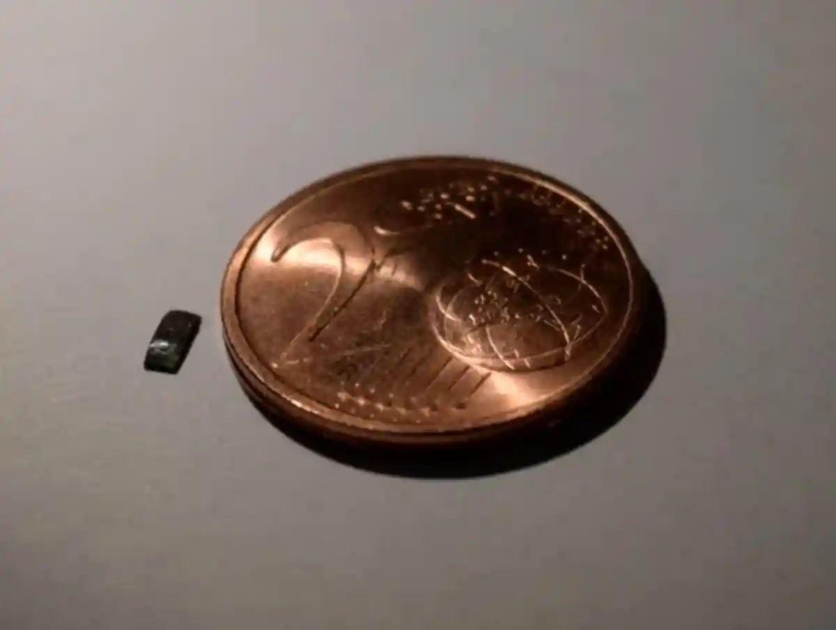 Так выглядит миллиробот, придуманный учёными из Института Макса Планка. В масштабе он составляет не более 1/30 части двухцентовой монеты. Фото: Max-Planck-Gesellshaft