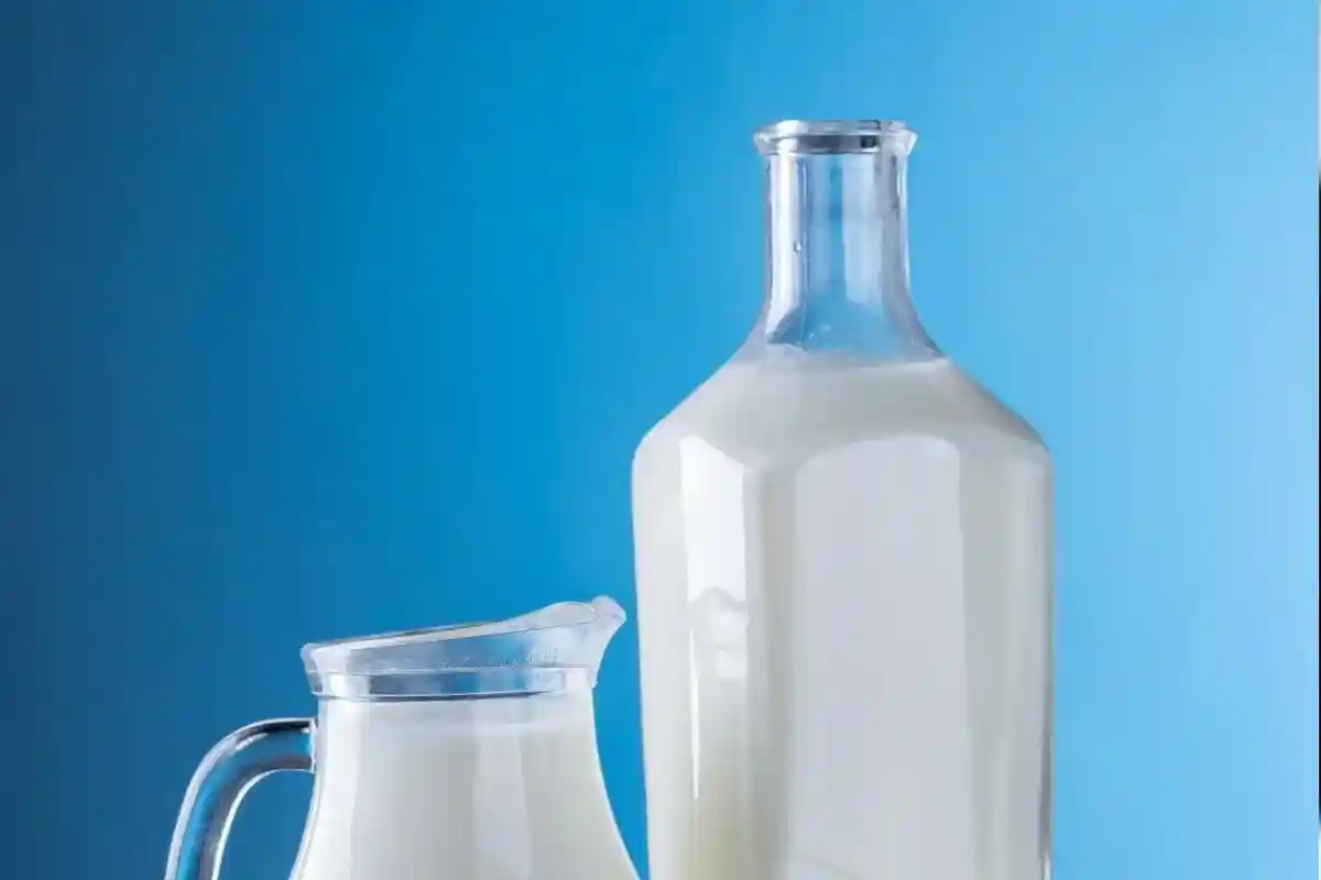 Молочные продукты. Фото: Pixabay / pexels.com
