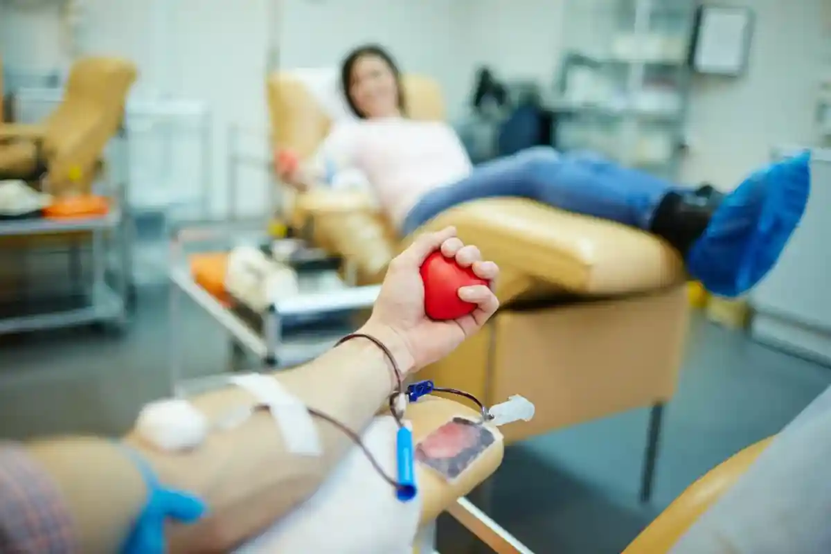 Донор крови в ФРГ