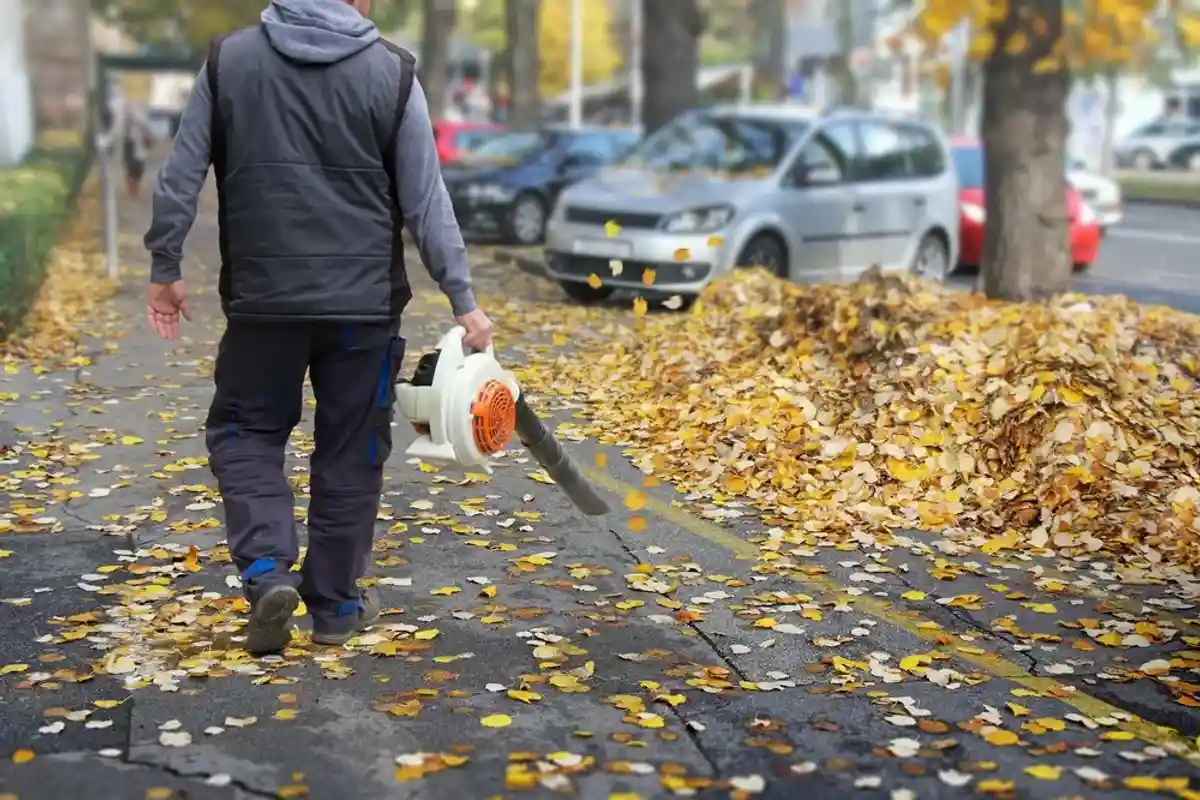 Правила и обязанности: что нужно знать об уборке листьев в Германии фото 1