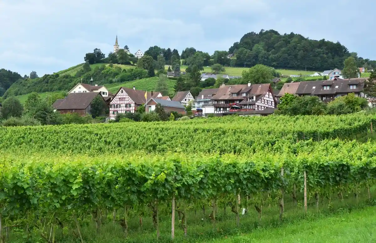 Жителям такой живописной деревеньки с виноградниками хотели платить по 2200 евро в месяц. Фото: shutterstock.com