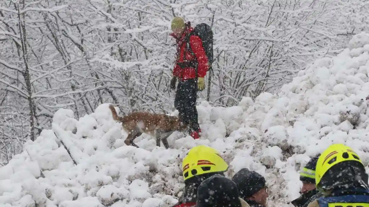 В течение трёх часов спасатели со специальными собаками разыскивали людей под лавинной массой. Фото: AKTIVNEWS 