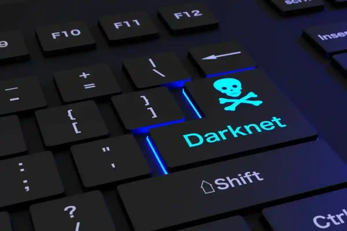 товары darknet