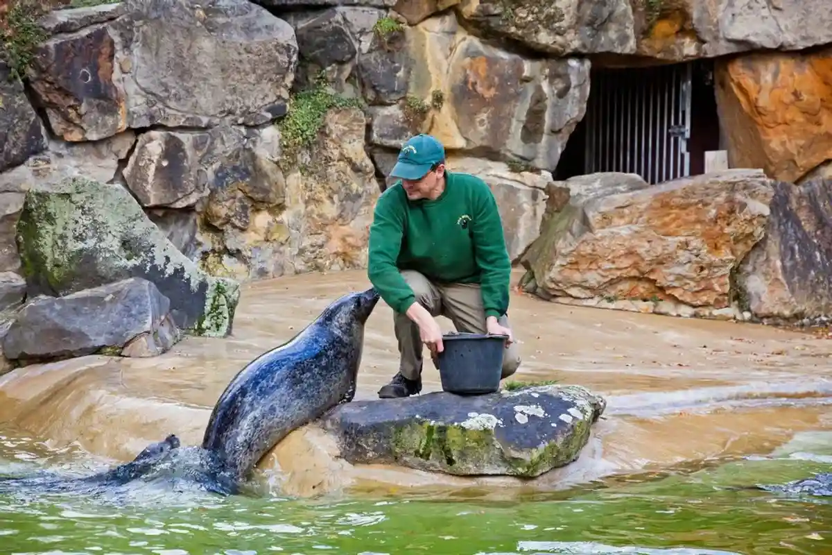 В рамках экскурсии вы сможете понаблюдать за рабочим процессом служителей зоопарка. Фото: katatonia82 / Shutterstock.com