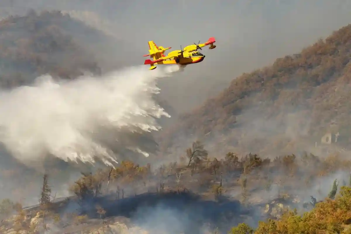 Спецсамолет Canadair тушит лесной пожар