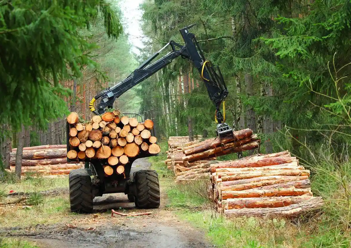 Работа трактора по заготовке дров