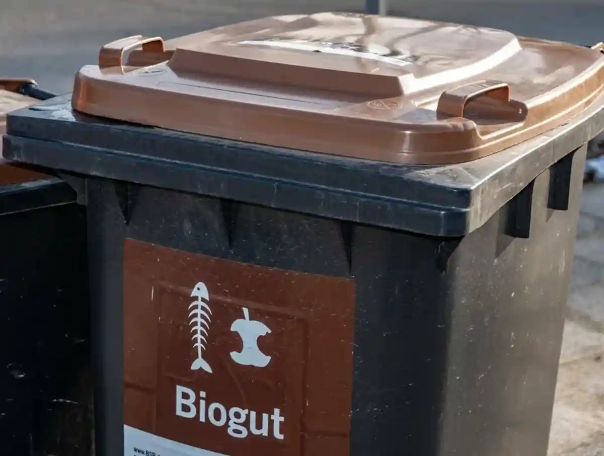 Сортировка мусора, контейнер для биоотходов
