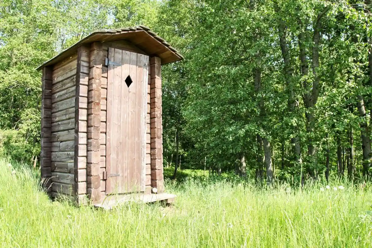Туалет в лесу