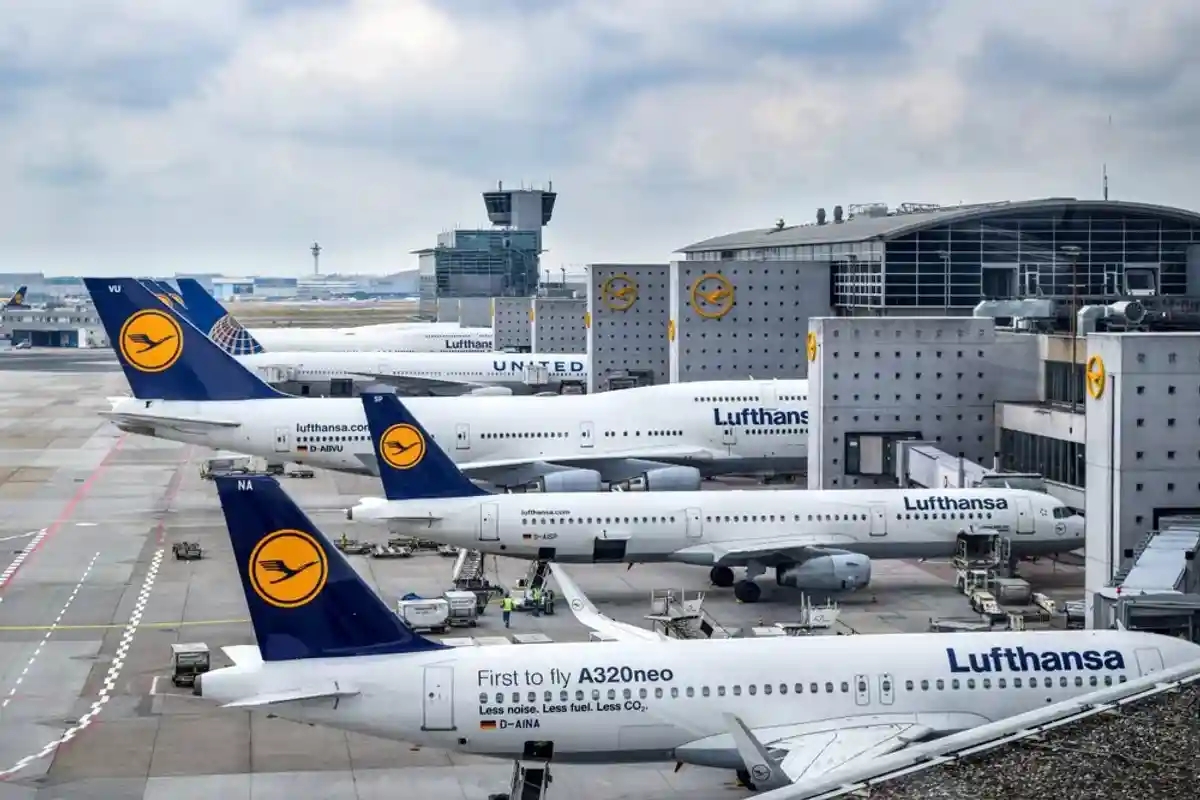 лоукостер Lufthansa