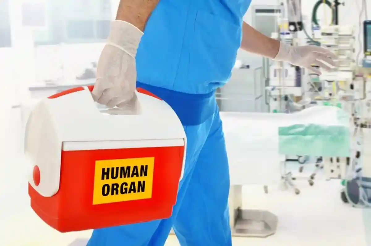 Трансплантация органов в Германии