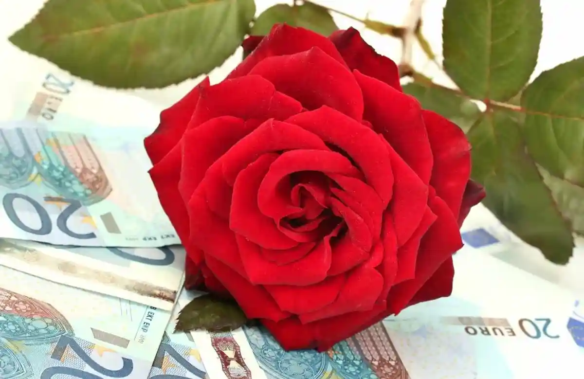 Роза деньги