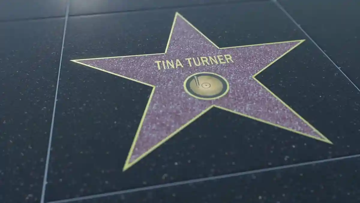 Звезда Тины Тернер