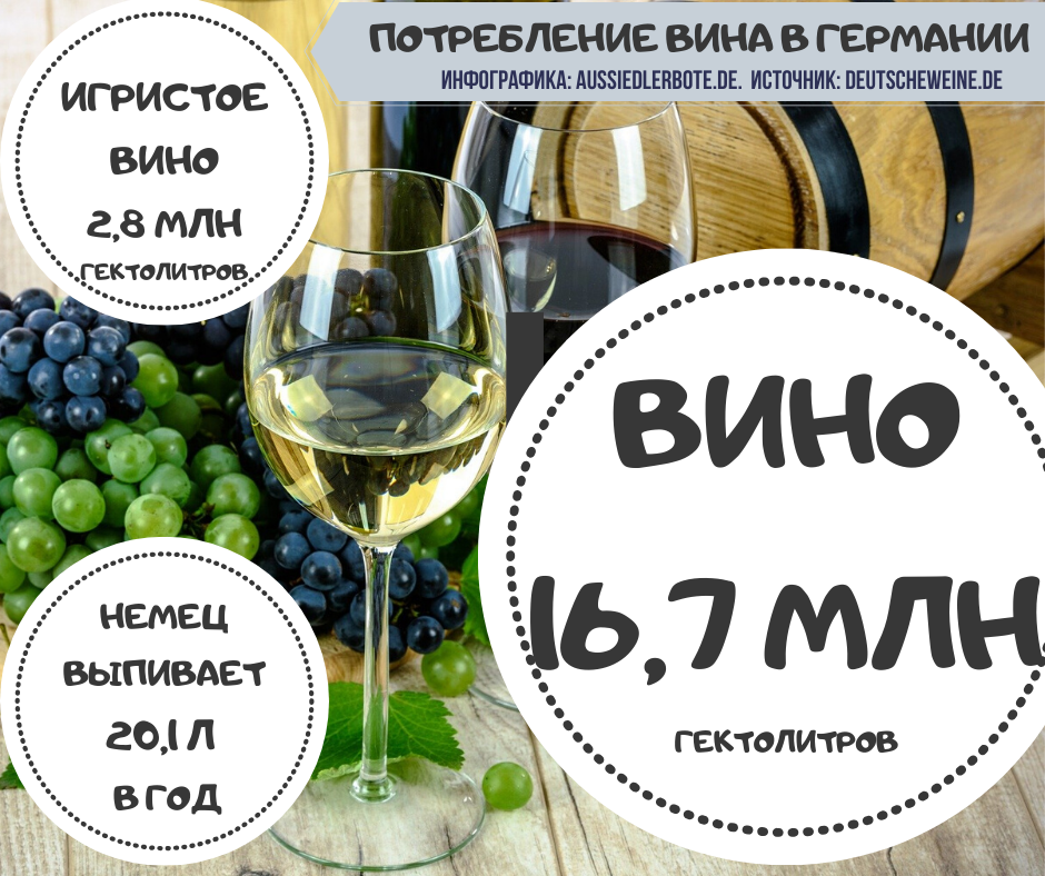 Вино в Германии. инфографика