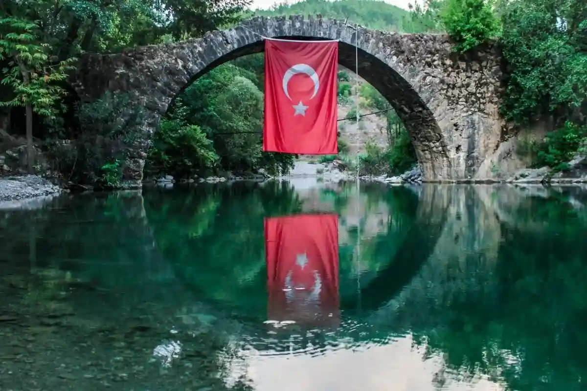 Турци. Фото: Muharrem Aydın / pexels.com