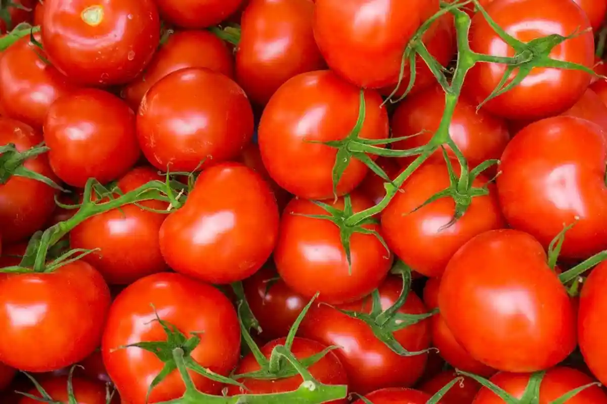 Популярные овощи - помидоры - насыпью во время продажи в магазине картинка