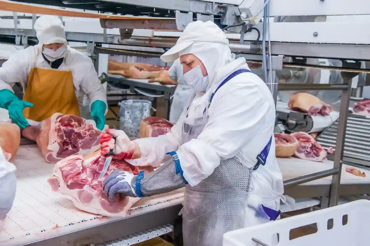 работники на мясоперерабатывающем заводе фото