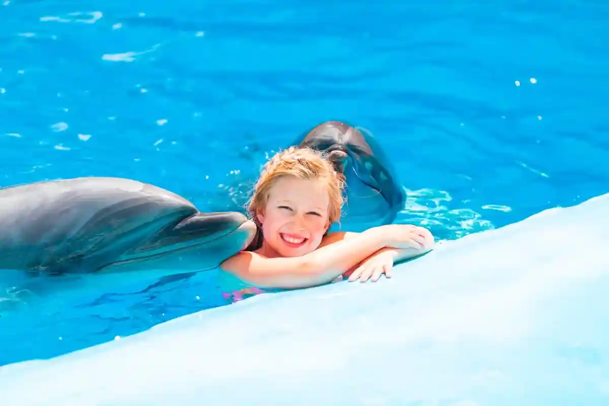 Девочка с дельфинами фото