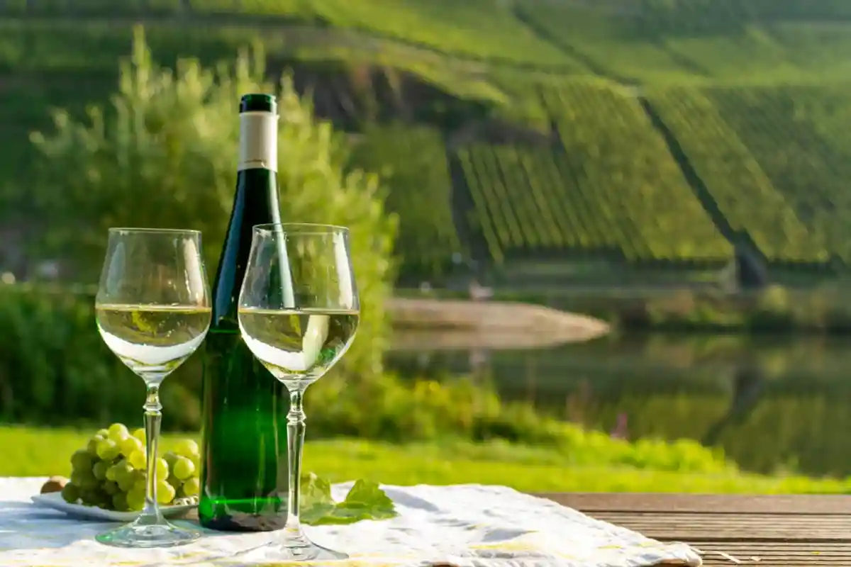Германия является лидером ЕС по импорту вина