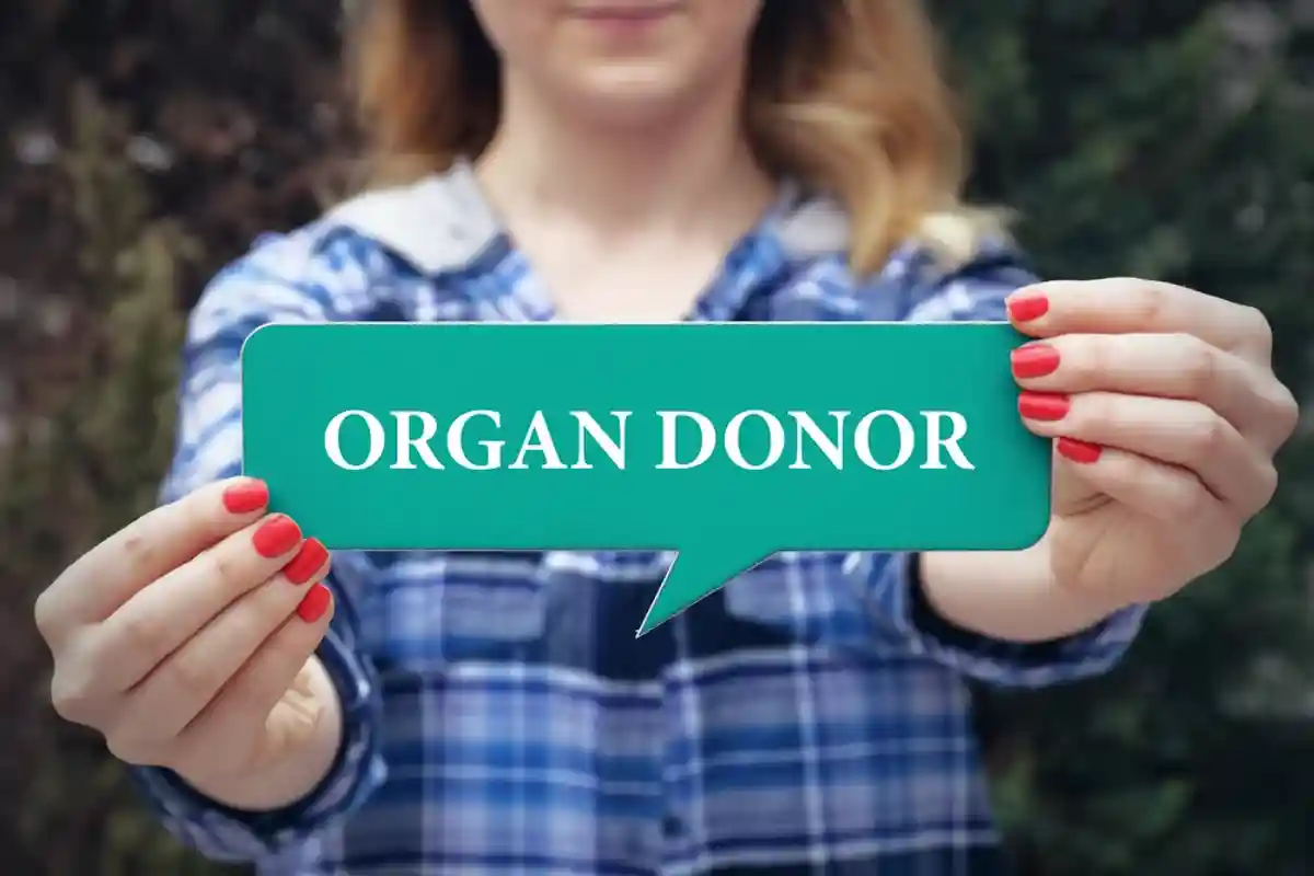Донорство органов