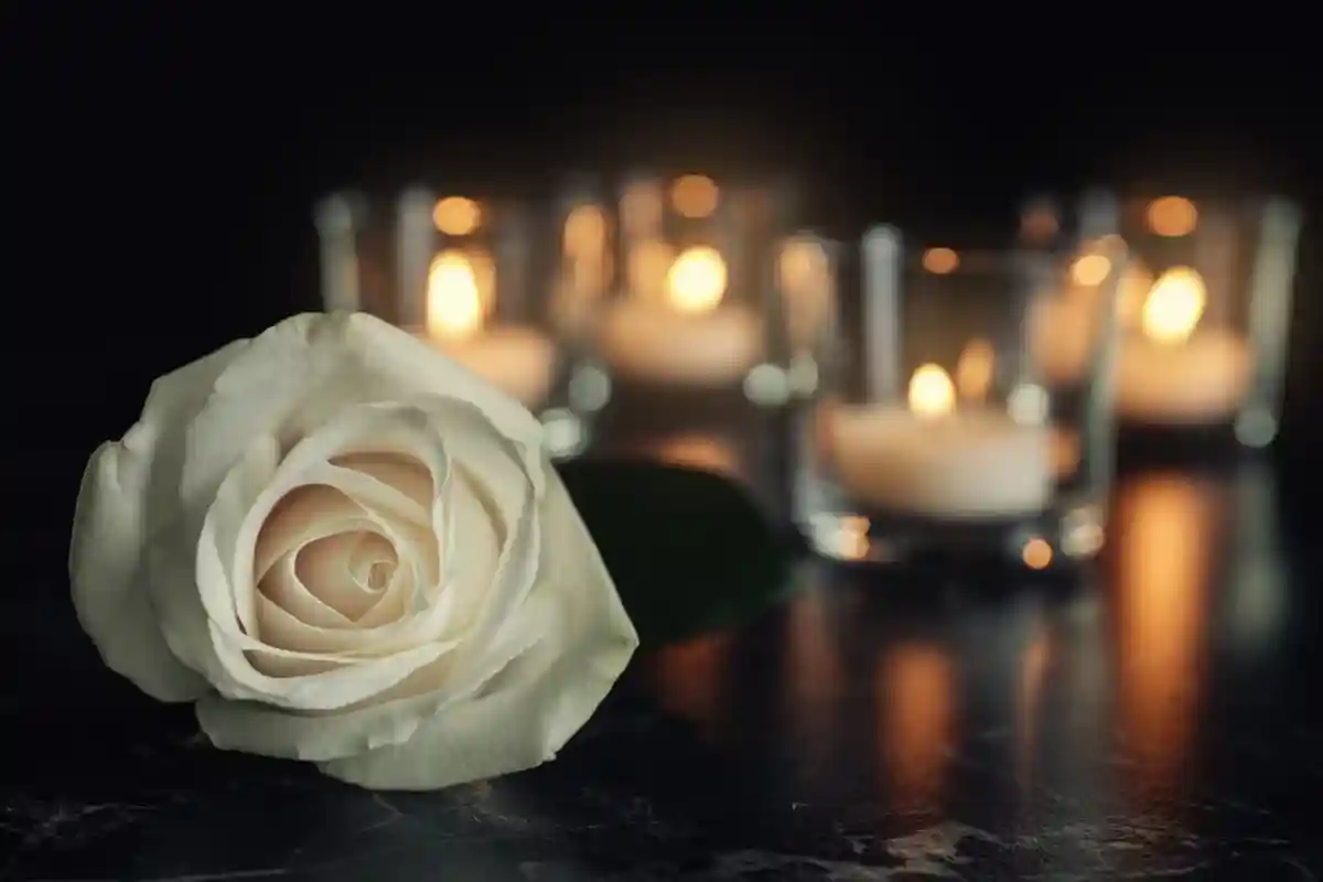 Белая роза на фоне горящих свечей фото