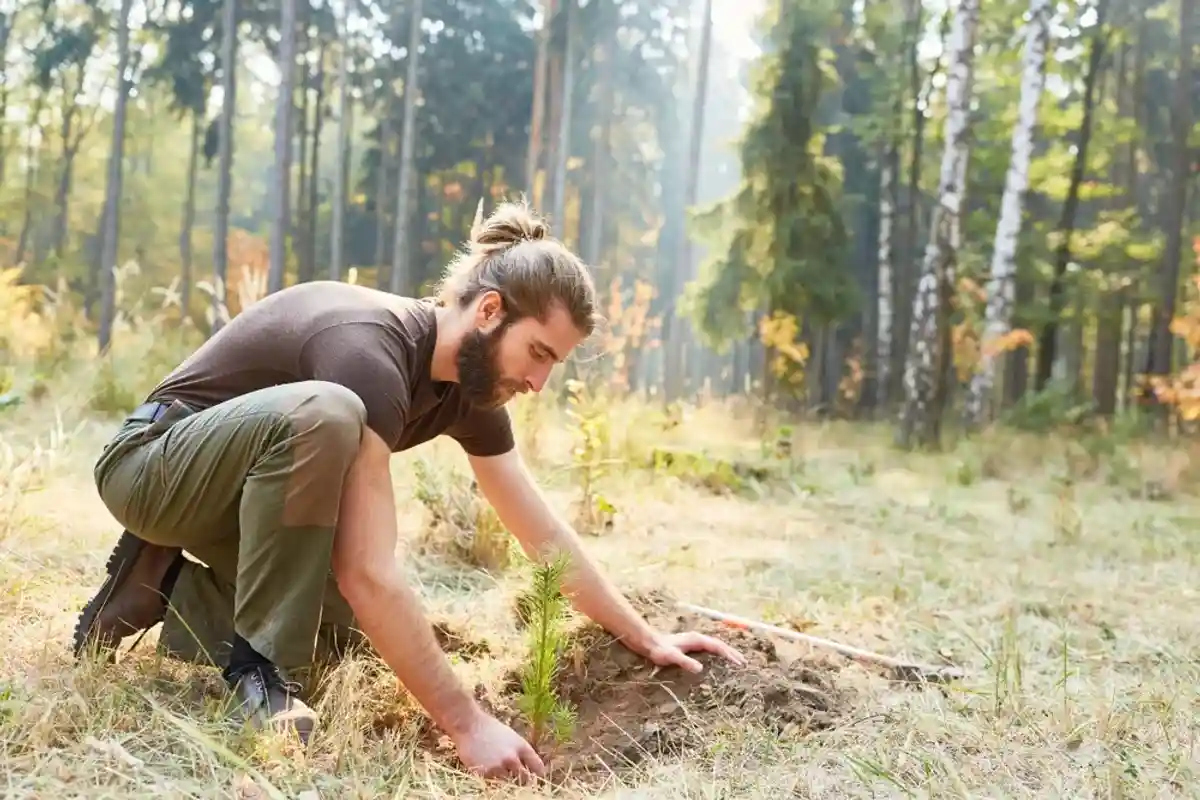 молодой мужчина высаживает дерево на опушке леса фото