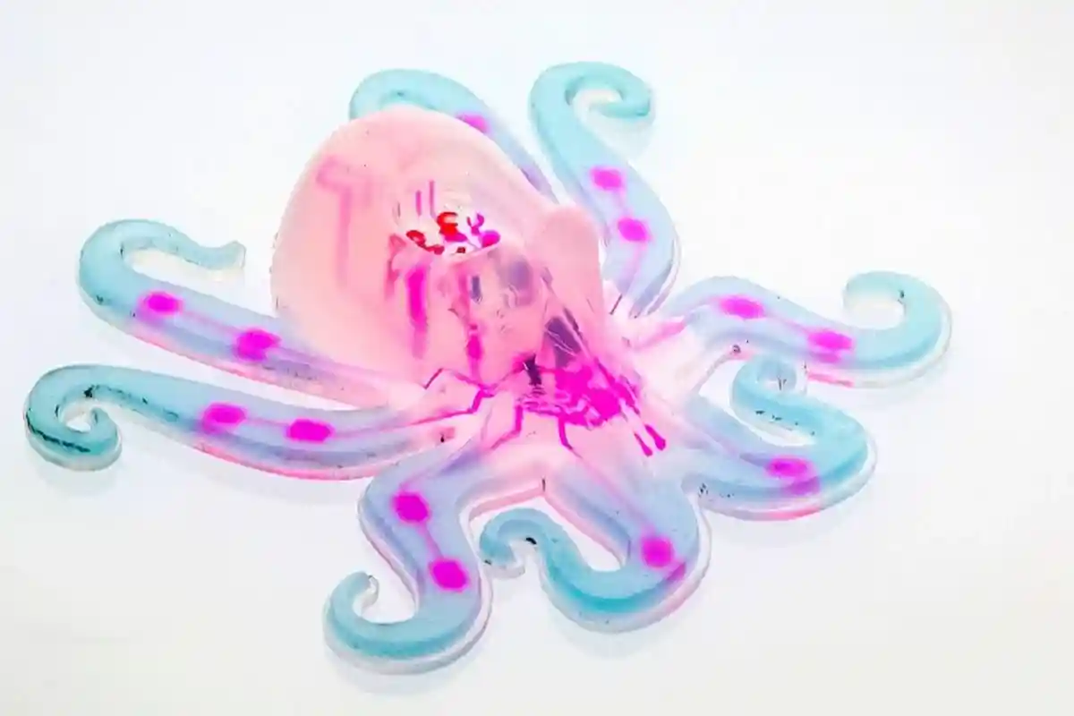 Мягкий октобот, созданный гарвардскими инженерами. Фото: Институт бионической инженерии им. Висса/ habr.com 