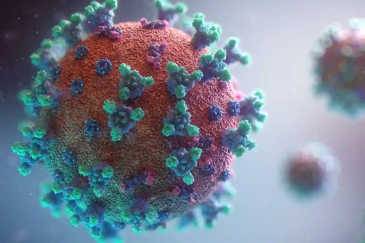 Мифы о коронавирусе. Фото: Fusion Medical Animation / Unsplash.com