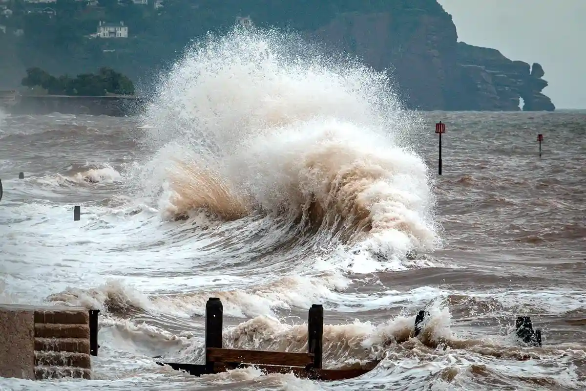 Сильный шторм способен погубить все живое. Фото: Ray Harrington / Unsplash.com
