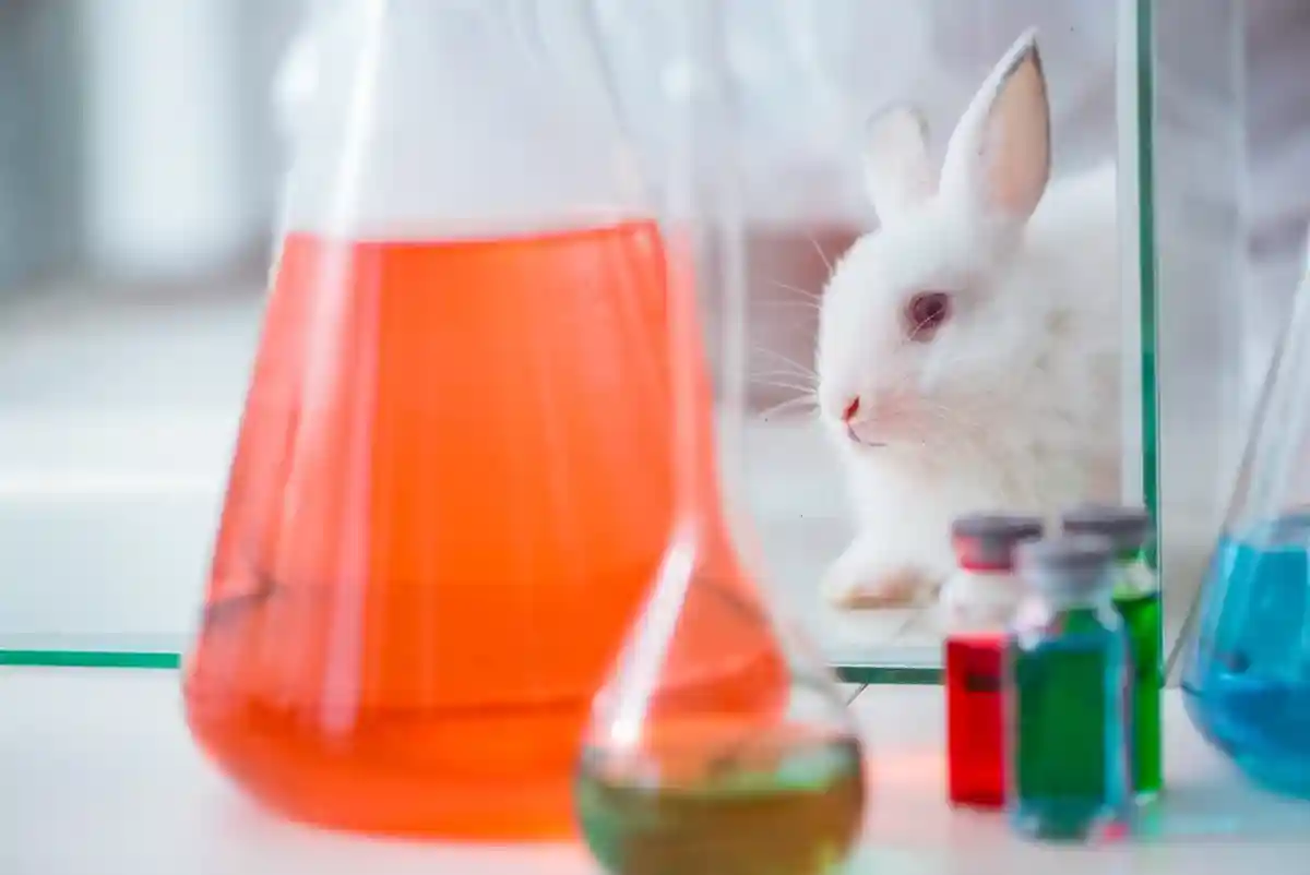 Европарламент требует отказаться от экспериментов над животными