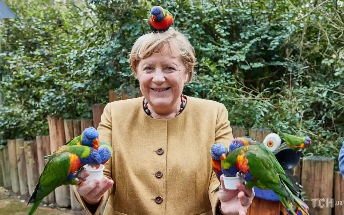 Ангела Меркель / Фото: Georg Wendt / dpa