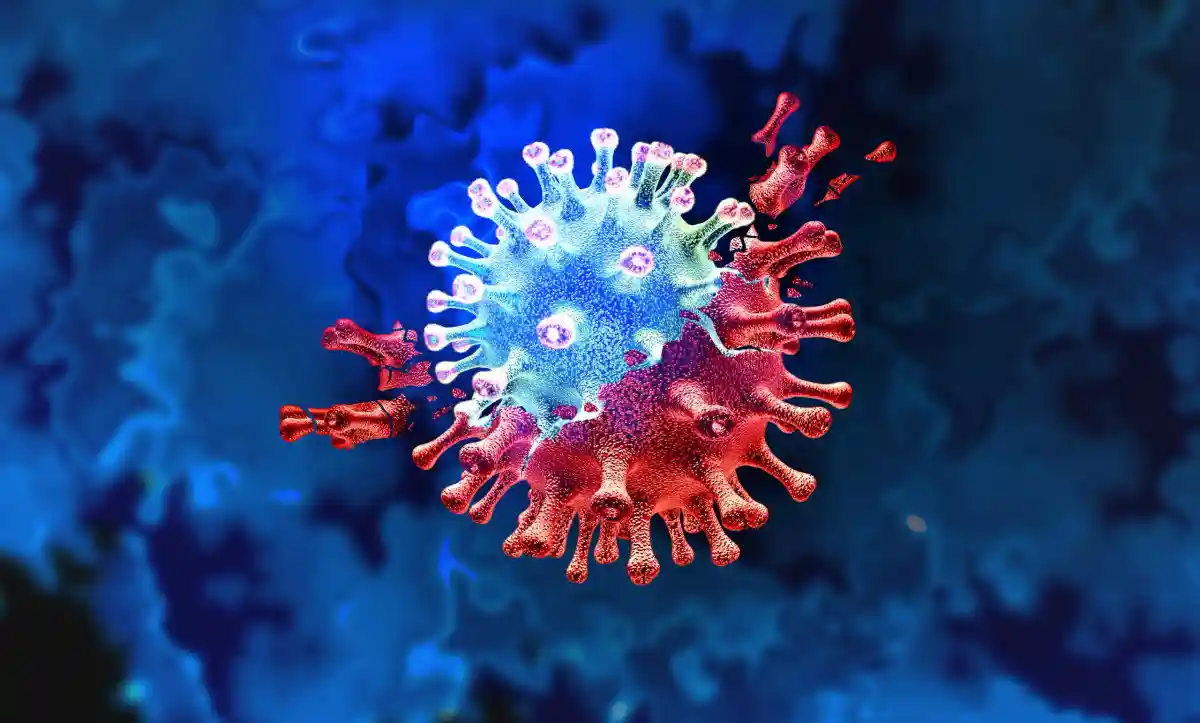 Мутация коронавируса. Фото: Lightspring/Shutterstock.com