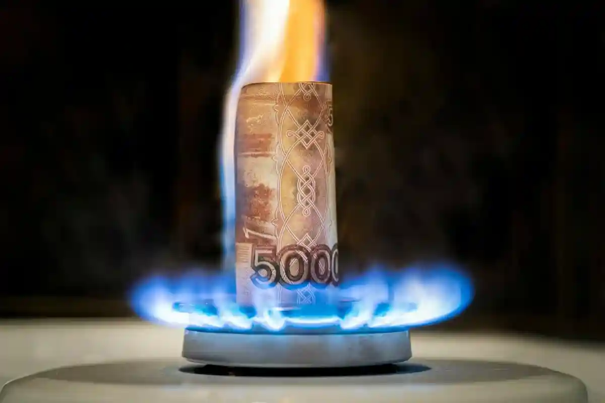 Ограничение цен на газ и электричество. Фото: By diy13/shutterstock.com