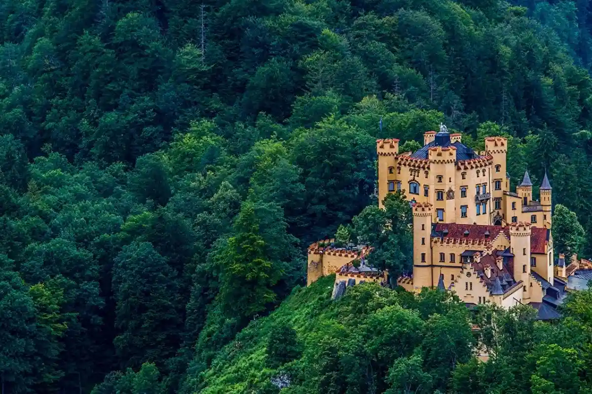 Замок Хоэншвангау среди баварских лесов. Фото: 1zoom.ru.