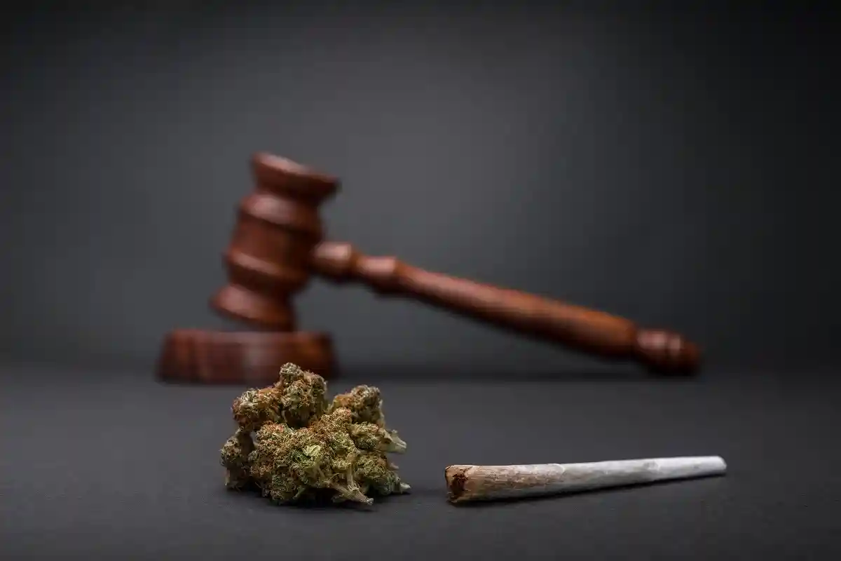 Решение о легализации марихуаны уже принято. Фото: MasterKeySystem / shutterstock.com