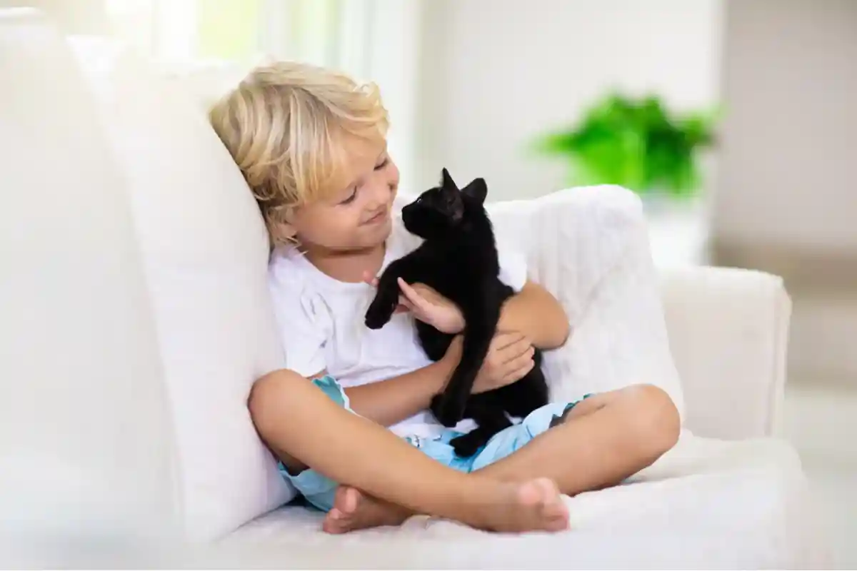 Ребенок играет с кошкой Фото: FamVeld/Shutterstock.com