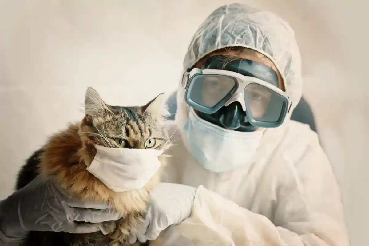 Врач в защитном костюме держит кота в медицинской защитной маске Фото: Konstantin Savusia/Shutterstock.com