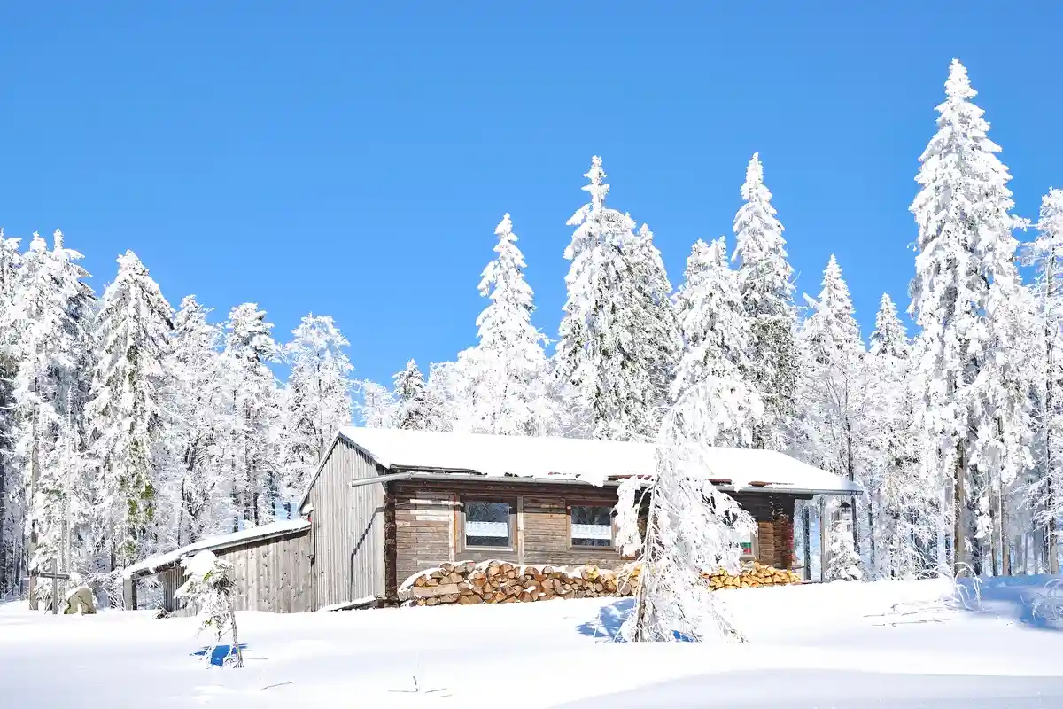 Зима в баварском лесу Фото: travelpeter/Shutterstock.com