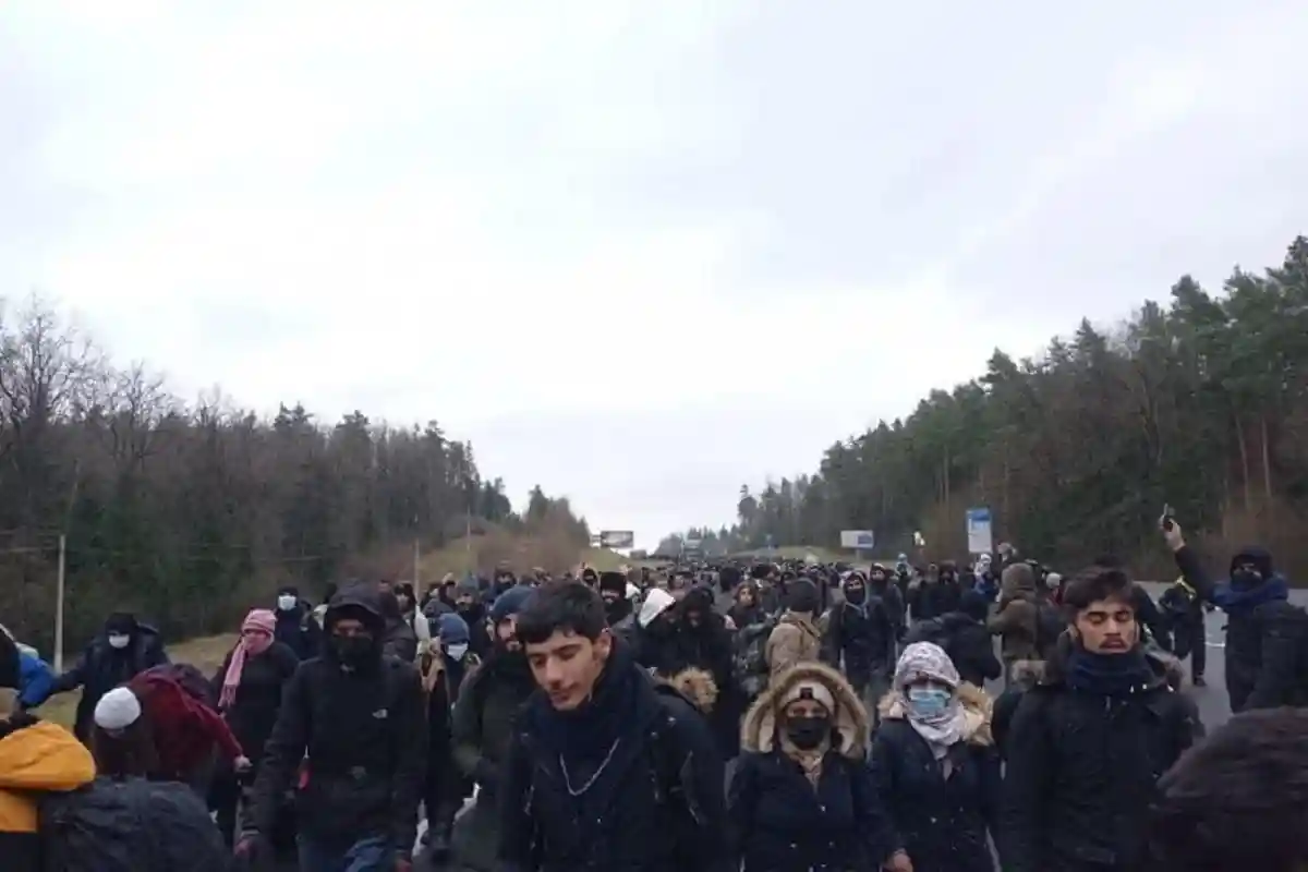 Большая колонна мигрантов недалеко от границы Беларуси и Польши. Фото: zerkalo_io / t.me