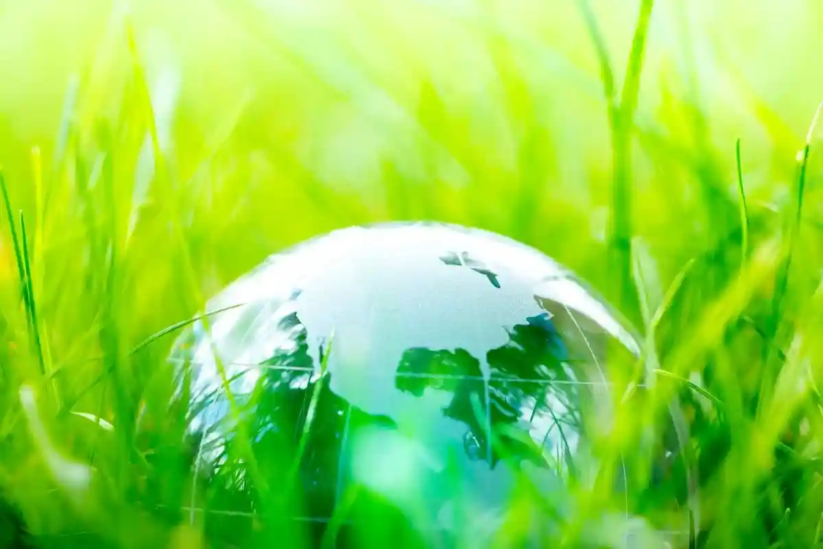 РАН и научные организации Германии запустили проект "Вместе за лучший климат"