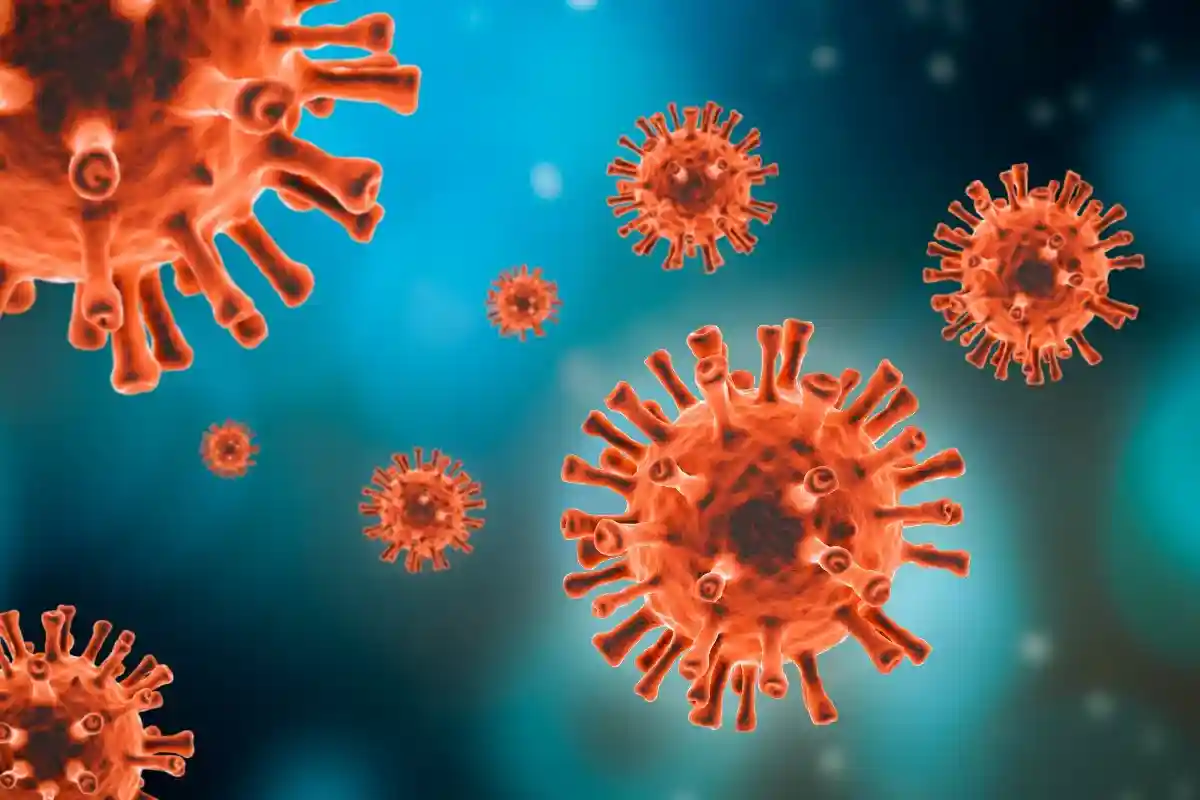Заболеваемость коронавирусом в Германии достигла нового максимума