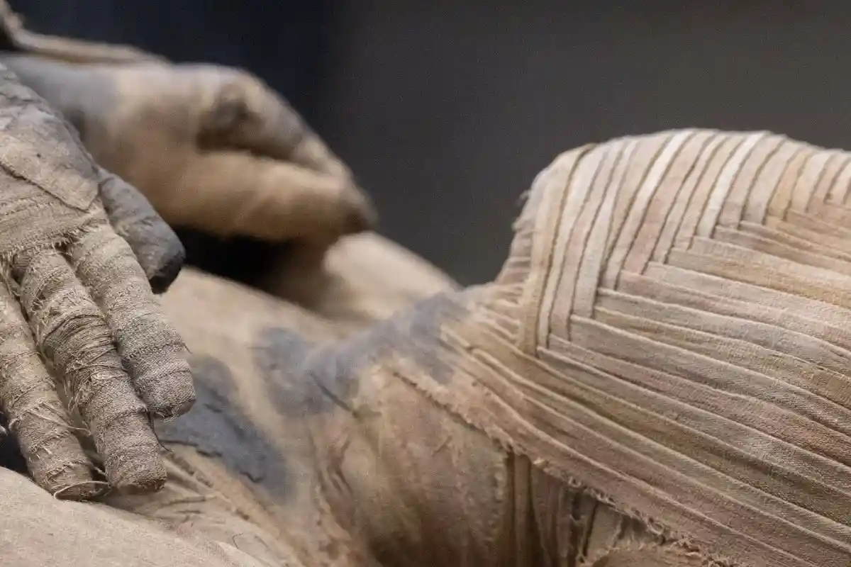 Живые и мертвые: первое исследование мумифицированных детей фото 1
