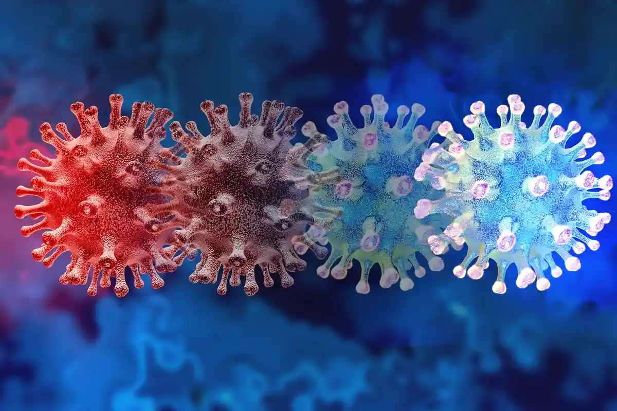 Мутация вирусных клеток covid-19 Фото: Lightspring/Shutterstock.com
